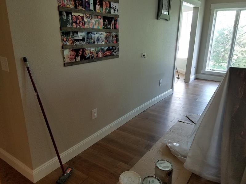 Windows, Doors, and Trim Painting in Nixa, MO
